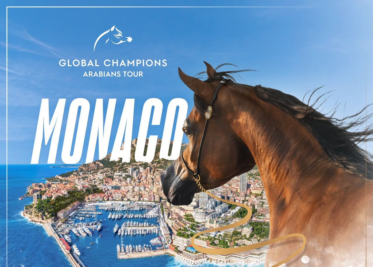 GCAT Brings Arabian Horse Prestige to Port Hercule, Monaco