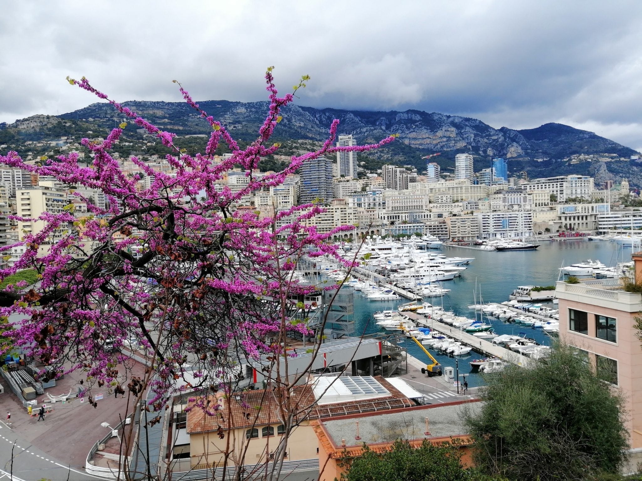 Did you know that Monaco has the highest life expectancy in the world?
