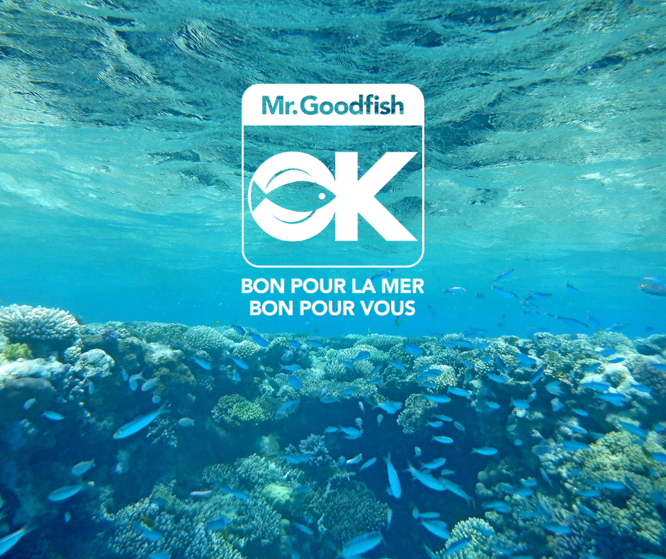 Mr. Goodfish campaign