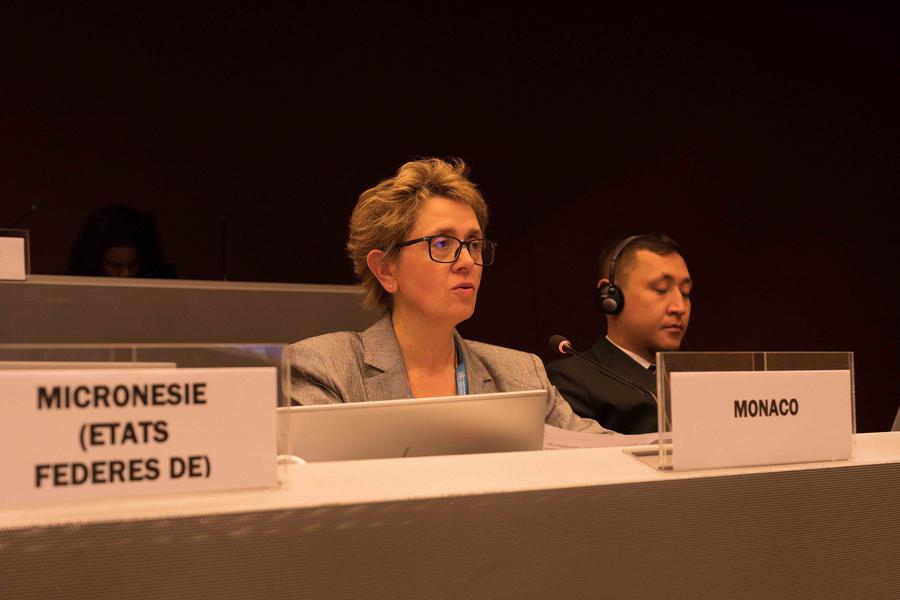 H.E. Ms Carole Lanteri, Ambassador and Permanent Representative of the Principality of Monaco to the Office of the United Nations in Geneva.