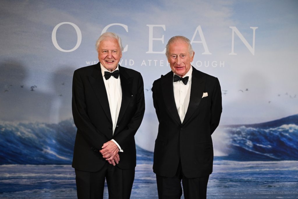 Ocean With David Attenborough
